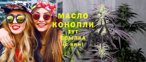 2c-b Горняк