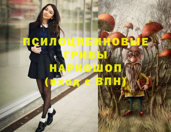 2c-b Горняк