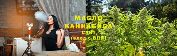 2c-b Горняк