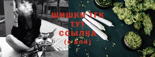 не бодяженный Горнозаводск