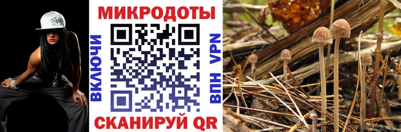 где можно купить   Мценск  Псилоцибиновые грибы Magic Shrooms 